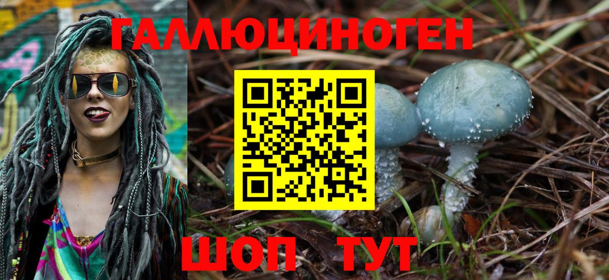 Кудрово  Галлюциногенные грибы Cubensis  Вход с VPN 