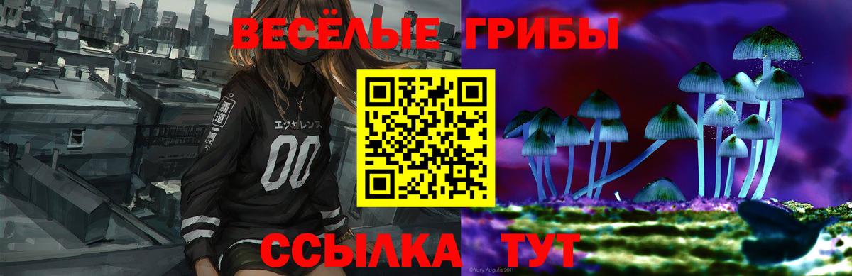 Галлюциногенные грибы Magic Shrooms Кудрово